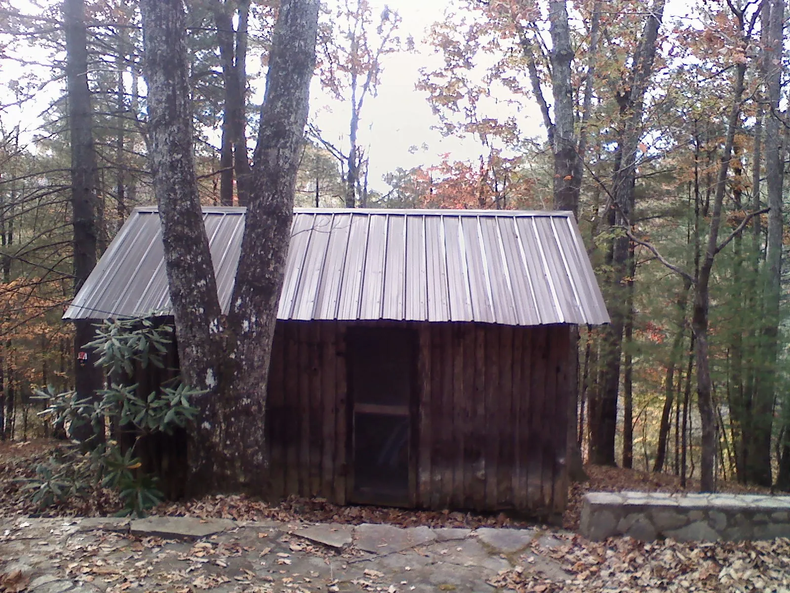 New metal gable roof on a small log shed among the trees in Sugar Tree